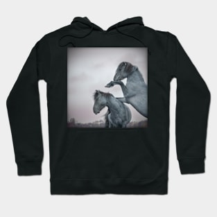 Booo to the bully!!! Hoodie